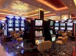 3d森林舞会官网-3D森林舞会，沉浸式体验自然之美的数字乐园